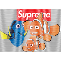 Brand Catalog-ZX 1006